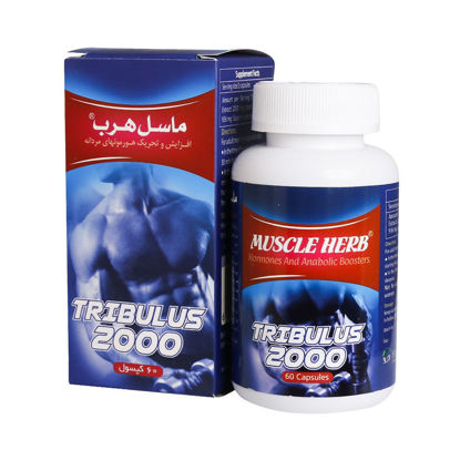 تصویر  کپسول  ماسل هرب   Muscle Herb